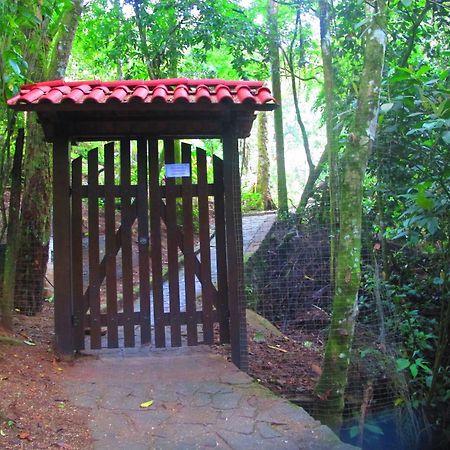 Bangalo Na Acqua Jungle Lodge Илья-Гранди Экстерьер фото