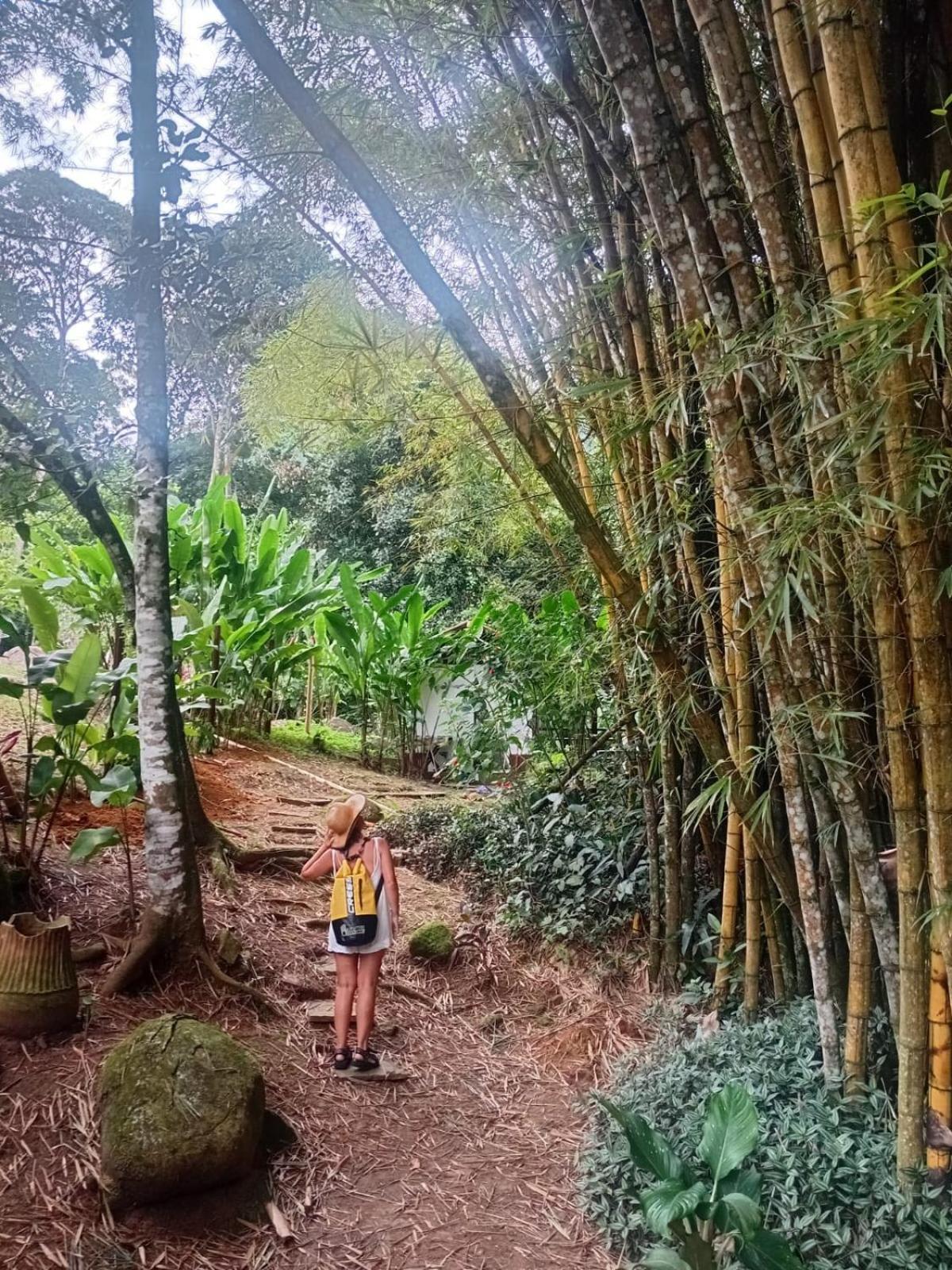 Bangalo Na Acqua Jungle Lodge Илья-Гранди Экстерьер фото